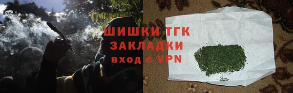 дурь Гусиноозёрск