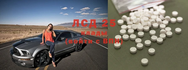 СК Горнозаводск