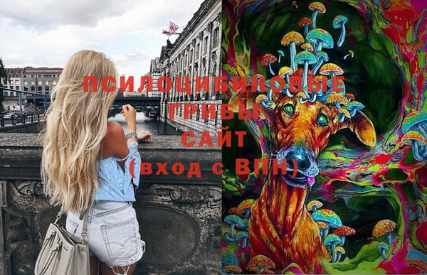 мефедрон Гусев
