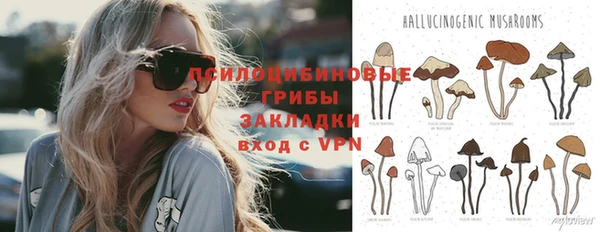 дмт Горно-Алтайск